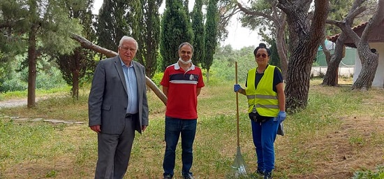 Λυκόβρυση Πεύκη : Καθαρισμός και αποψίλωση στην Πύρνα Λυκόβρυσης