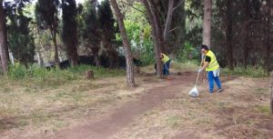 Λυκόβρυση Πεύκη : Καθαρισμός και αποψίλωση στην Πύρνα Λυκόβρυσης