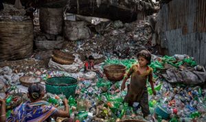 WWF: Έρευνα «Η απώλεια της φύσης και η έξαρση των πανδημιών»