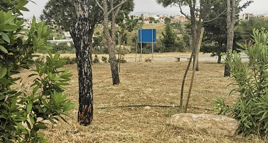 Ραφήνα Πικέρμι: Ο Δήμος  συνεχίζει τις αποψιλώσεις στους κοινόχρηστους χώρους του Πευκώνα