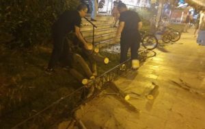 Ραφήνα Πικέρμι : Πτώση δέντρου στην κεντρική πλατεία Ραφήνας