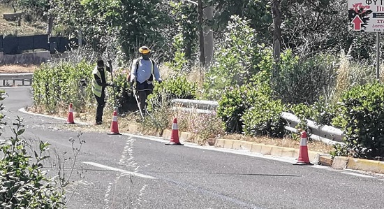 Ραφήνα Πικέρμι: Στη Λ. Μαραθώνας αποψιλώσεις από συνεργεία της Περιφέρειας Αττικής