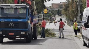 Ραφήνα Πικέρμι: Κλαδεύτηκαν οι λεύκες στην οδό Άγιου Χρυσοστόμου Σμύρνης