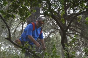 H Ομάδα εθελοντών του Σ.Π.Α.Π. συνέδραμε στον καθαρισμό του λόφου του Προφήτη Ηλία Νέας Πεντέλης