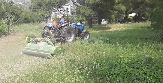 Πεντέλη : Οι εθελοντές του ΣΠΑΠ καθάρισαν  και αποψίλωσαν το χώρου των πρώην κατασκηνώσεων Αγροτικής Τραπέζης