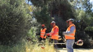 ΣΠΑΥ: Φέτος για πρώτη φόρα διπλασιάζεται η συνολική έκταση στην οποία θα πραγματοποιηθούν εργασίες καθαρισμού στον Υμηττό