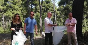 Διόνυσος: Δράση καθαρισμού του αιωνόβιου δάσους του Διονύσου από τους Ναυτοπροσκόπους  με τη στήριξη της Δημοτικής Αρχής