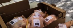 Διόνυσος: Διανομή τροφίμων σε 102 ωφελούμενους από το Δήμο Διονύσου μέσω του προγράμματος ΤΕΒΑ