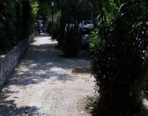 Κηφισιά: Καθημερινή είναι η φροντίζονται των κοινόχρηστων  χώρων πρασίνου με όλα τα τεχνικά μέσα και το  ανθρώπινο δυναμικό μας