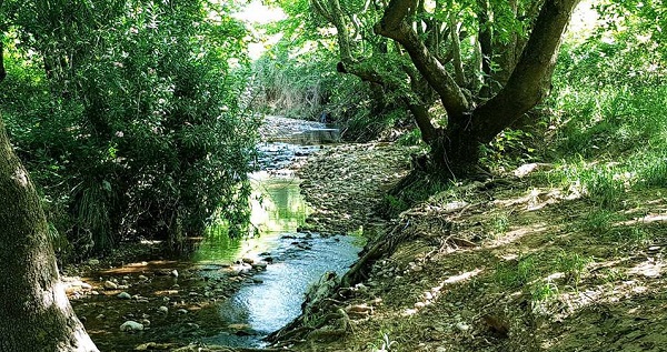 Κηφισιά:  Δράσεις Καθαρισμού των ρεμάτων και δασών στο Δήμο