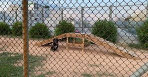 Μεταμόρφωση: Σύντομα ολοκληρώνεται το πρώτο πάρκο σκύλων του Δήμου