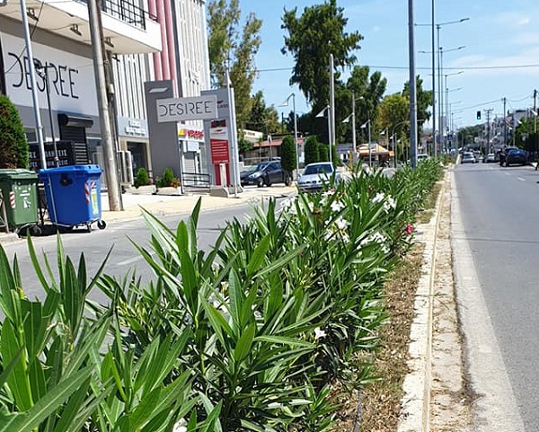 Μεταμόρφωση: Καλλωπισμός  της  νησίδας της Τατοΐου