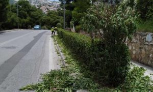 Φωτογραφίες και από τις 3 Δημοτικές Κοινότητες