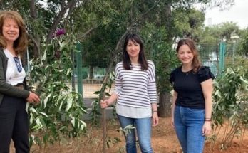 Πεντέλη: Φύτευση της πλατεία της Νέας Πεντέλης και της Αγίας Τριάδας