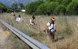 Περιφέρεια Αττικής : Σε εξέλιξη η διήμερη δράση εθελοντικού καθαρισμού του Πάρκου Σχινιά στο Μαραθώνα