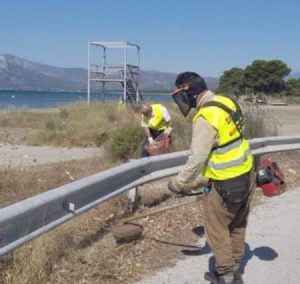 Με επιτυχία πραγματοποιήθηκε  η διήμερη δράση εθελοντικού καθαρισμού του Πάρκου Σχινιά στο Μαραθώνα