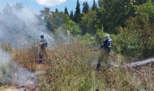 Λυκόβρυση Πεύκη : Μικρής έκτασης πυρκαγιά στην παραρεμάτια περιοχή της Πύρνας