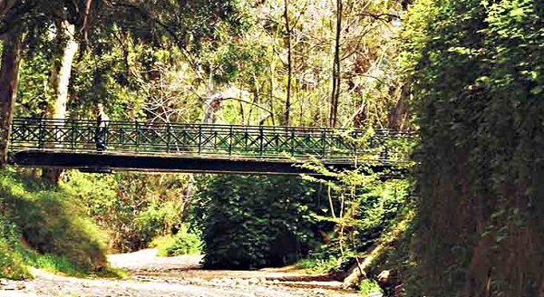 Χαλάνδρι: Την Κυριακή καθαρίζουμε τη Ρεματιά