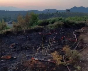 Άγιος Στέφανος:  Μικρής έκτασης πυρκαγιά το μεσημέρι στην περιοχή του Αγίου Στεφάνουστην  θέση Αχλαδούλα
