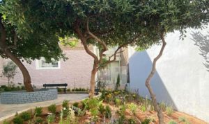 Αθήνα:  Το πρώτο pocket park Στην Άνω Κυψέλη