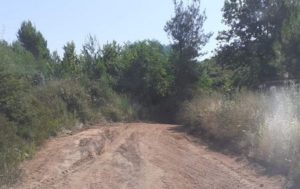 Διόνυσος: Συνεχείς και εκτεταμένες διανοίξεις δασικών-αγροτικών οδών και καθαρισμοί κοινόχρηστων χώρων στο Δήμο