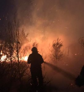 Διόνυσος : Πυρκαγιά χθες τα ξημερώματα σε δασική έκταση  στη θέση Αγία Τριάδα της Δ.Κ.  Αγ. Στεφάνου  του  Δήμου  Διονύσου