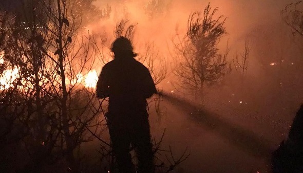 Διόνυσος : Πυρκαγιά χθες τα ξημερώματα σε δασική έκταση  στη θέση Αγία Τριάδα της Δ.Κ.  Αγ. Στεφάνου 