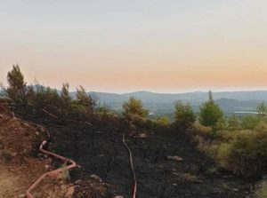  Διόνυσος: Ο Δήμος είναι σε διαρκή ετοιμότητα για τον κίνδυνο πυρκαγιάς