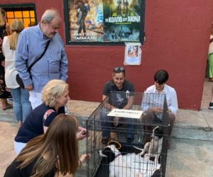 Φιλόθεη Ψυχικό : Δράση για να ενίσχυση  της εθελοντικής ομάδας ΖΩΦΙΨΥ  για τα  αδέσποτα