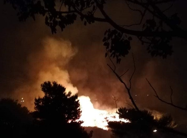 Παλλήνη Γέρακας : Φωτιά  χθες τα μεσάνυχτα στον Γέρακα κοντά στο ρέμα της Ανθούσας