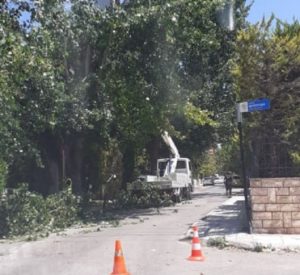 Λυκόβρυση Πεύκη:  Κλαδεύονται δέντρα και απελευθερώνονται καλώδια φωτισμού από συνεργεία του ΔΕΔΔΗΕ