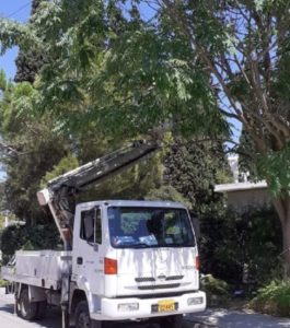 Λυκόβρυση Πεύκη:  Κλαδεύονται δέντρα και απελευθερώνονται καλώδια φωτισμού από συνεργεία του ΔΕΔΔΗΕ