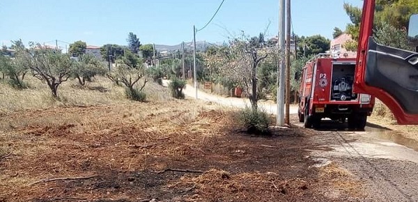 Ραφήνα  Πικέρμι:  Κατασβέστηκε η φωτιά στην οδό Άλσους στον Πευκώνα