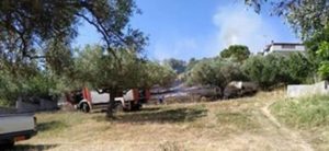 Πικέρμι Ραφήνα : Φωτιά στο Πικέρμι στα σύνορα με Σπάτα