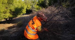 ΣΠΑΥ : Οι δράσεις για τη θωράκιση του Υμηττού συνεχίζονται καθημερινά