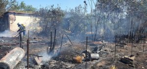 Χαλάνδρι: Έσβησε η πυρκαγιά στο Πεύκο Πολίτη – Άμεση η αντίδραση Πυροσβεστικής και Δήμου