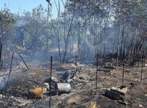 Χαλάνδρι: Έσβησε η πυρκαγιά στο Πεύκο Πολίτη – Άμεση η αντίδραση Πυροσβεστικής και Δήμου