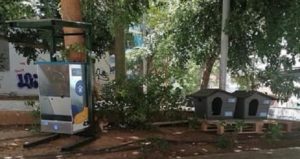 Αθήνα: Τοποθετούμε τα πρώτα σπιτάκια για γάτες στην Αθήνα