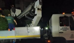 Βριλήσσια: Χθες το βράδυ η  πολιτική προστασία απομάκρυνε κλάρα από ένα τεράστιο  πεύκο