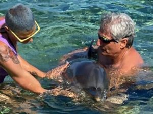 Έχασε τον προσανατολισμό του μικρό δελφίνι στην Αλόννησο