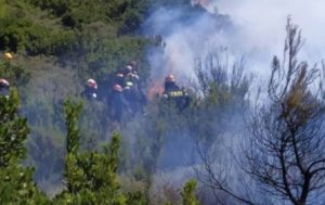Διόνυσος: Υπό πλήρη έλεγχο τέθηκε η φωτιά που ξέσπασε σήμερα το μεσημέρι
