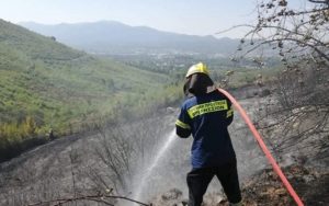 Διόνυσος: Υπό πλήρη έλεγχο τέθηκε η φωτιά που ξέσπασε σήμερα το μεσημέρι