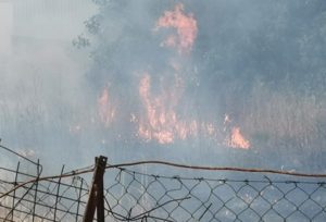 Γέρακα : Φωτιά σε ακαθάριστο οικόπεδο