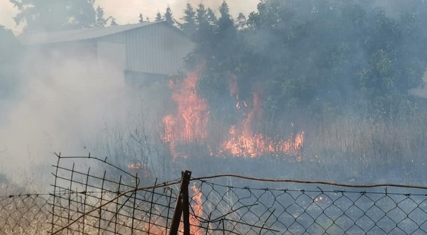 Γέρακα : Φωτιά σε ακαθάριστο οικόπεδο