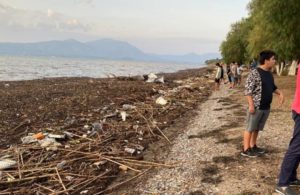 Ο Αντιπεριφερειάρχης Ν. Παππάς  στον Ωρωπού στην προσπάθεια  απομάκρυνσης των φερτών υλικών από την παραλία που ταξίδεψαν από την  καταστροφής της Εύβοιας