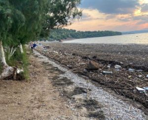 Ο Αντιπεριφερειάρχης Ν. Παππάς  στον Ωρωπού στην προσπάθεια  απομάκρυνσης των φερτών υλικών από την παραλία που ταξίδεψαν από την  καταστροφής της Εύβοιας