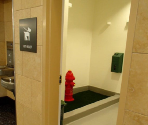 Διεθνή: Στο αεροδρόμιο του Σαν Ντιέγκο υπάρχει τουαλέτα για τα σκυλάκια που ταξιδεύουν
