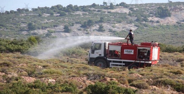 ΣΠΑΠ: 3ο  Εθελοντικό Πότισμα για το 2020 στο Πεντελικό με το Όλοι Μαζί Μπορούμε και στο Περιβάλλον