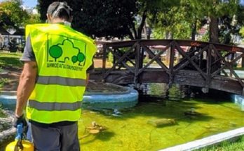 Αγία Παρασκευή: Λήψη μέτρων για την καταπολέμηση των κουνουπιών