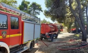 Αγ. Στεφάνος:  Πυρκαγιά εκδηλώθηκε επί της Λεωφόρο Λίμνης Μαραθώνος στο ύψος της Αγίας Τριάδας
